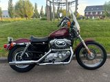HARLEY-DAVIDSON SPORTSTER XLH 883 HUGGER