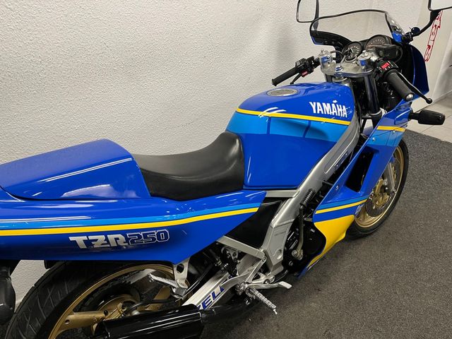 yamaha - tzr-250