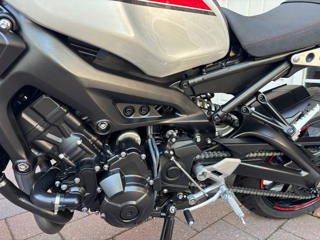 yamaha - xsr-900