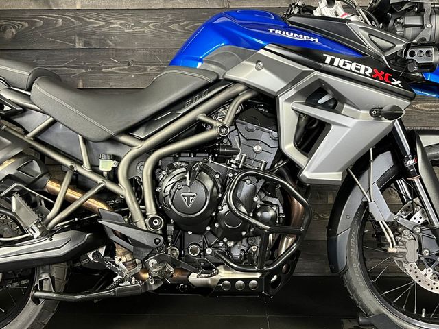 triumph - tiger-800-xcx
