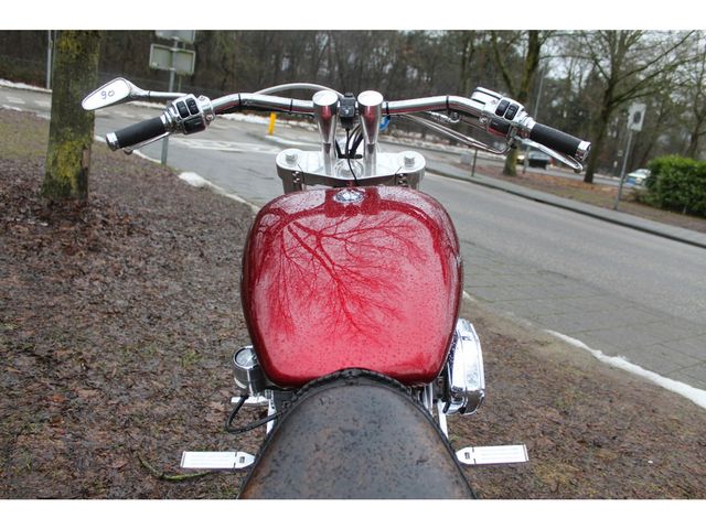 harley-davidson - softail-custom