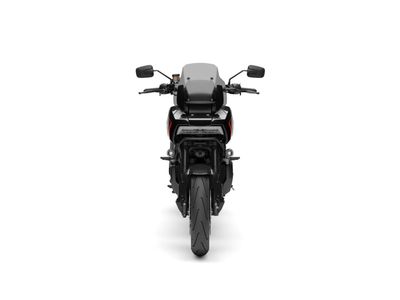 HARLEY-DAVIDSON PAN AMERICA 1250 ST – foto 4