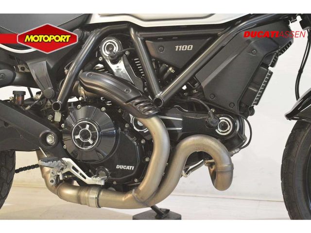 ducati - scrambler-1100-pro