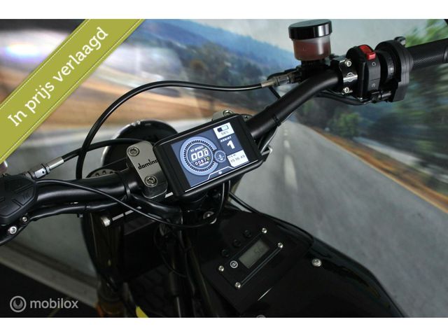 TREVOR - dtre-stella