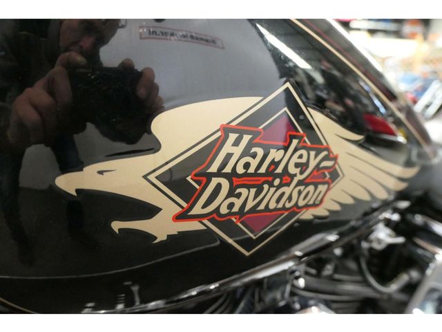 harley-davidson - springer-softail-fxsts
