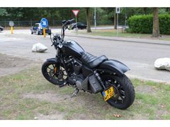 Harley-Davidson Sportster 883 Iron 883 2019 occasion – foto 6 van 9