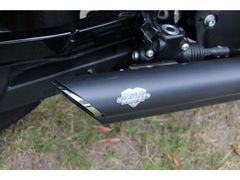 Harley-Davidson Sportster 883 Iron 883 2019 occasion – foto 8 van 9