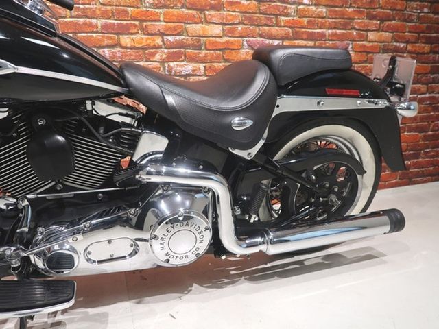 harley-davidson - springer-classic-flstsc-softail