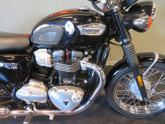 triumph - bonneville-t-100