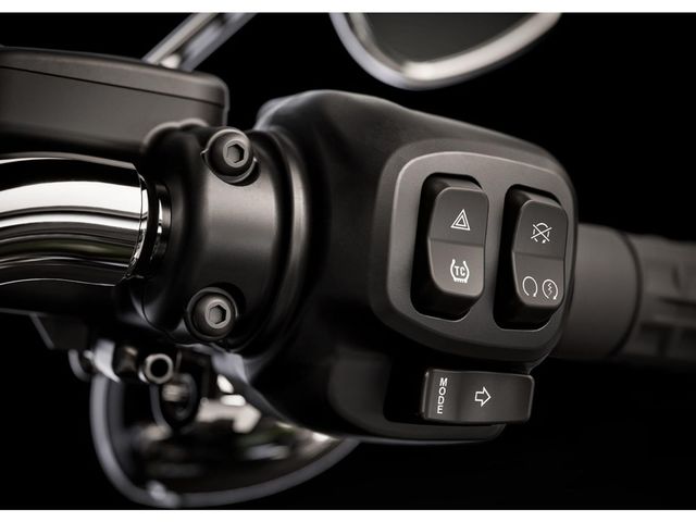 harley-davidson - fat-boy-flfb-softail