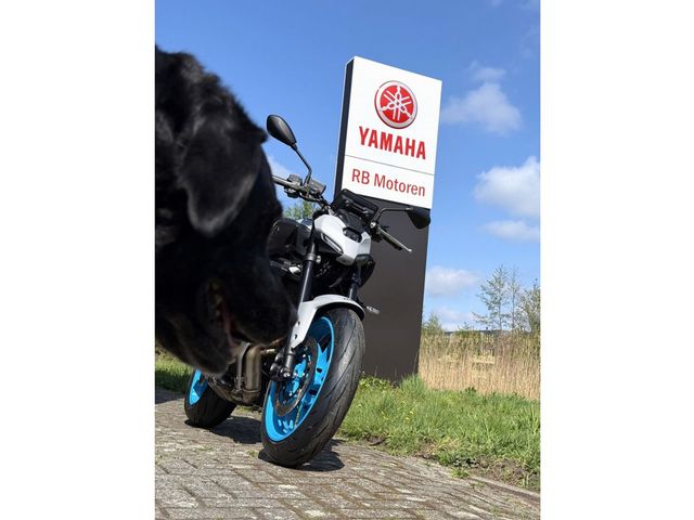 yamaha - mt-07