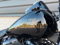 Harley-Davidson Fxlrs 114 Low Rider S Clubstyle | Legend | Saddlemen 2021 occasion – foto 8 van 20