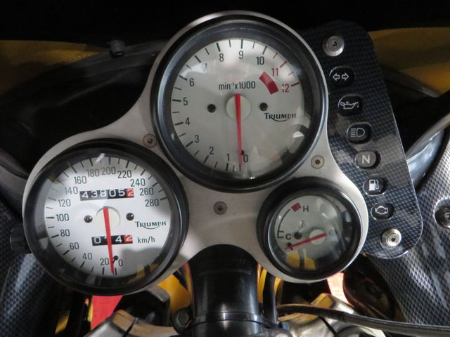 triumph - daytona-t--595