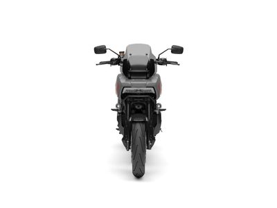 HARLEY-DAVIDSON PAN AMERICA 1250 ST – foto 3
