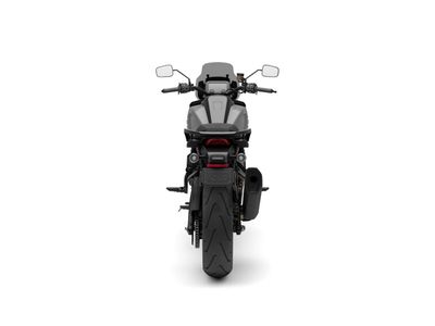 HARLEY-DAVIDSON PAN AMERICA 1250 ST – foto 4