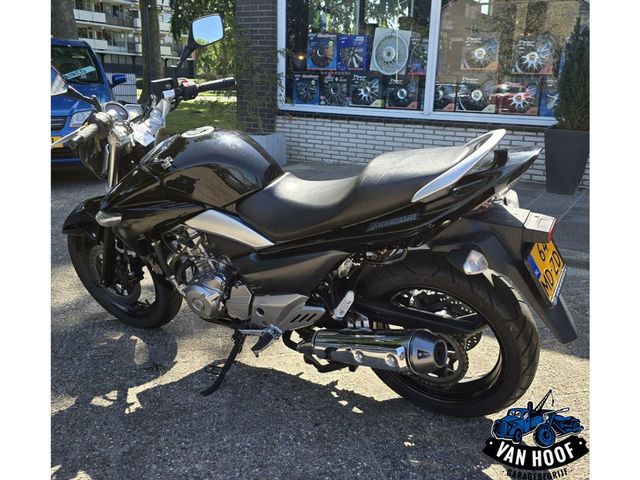 suzuki - inazuma-250