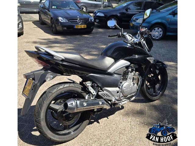 suzuki - inazuma-250