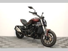 BENELLI 502 C