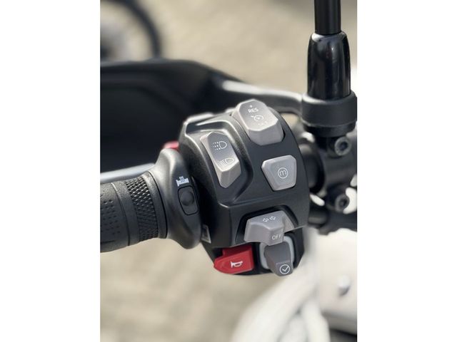 triumph - tiger-900-rally-pro