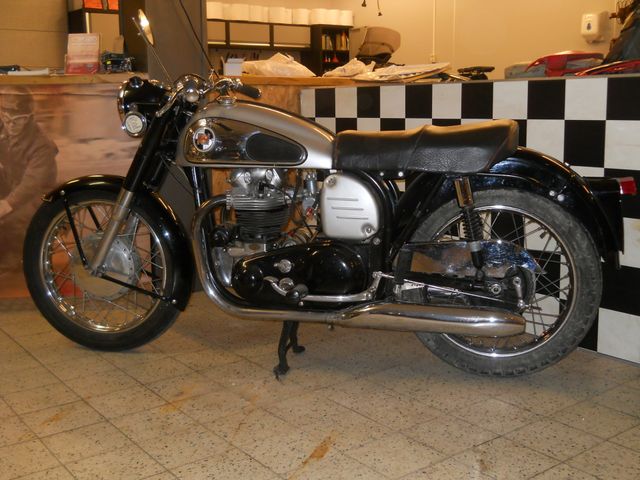 norton - dominator