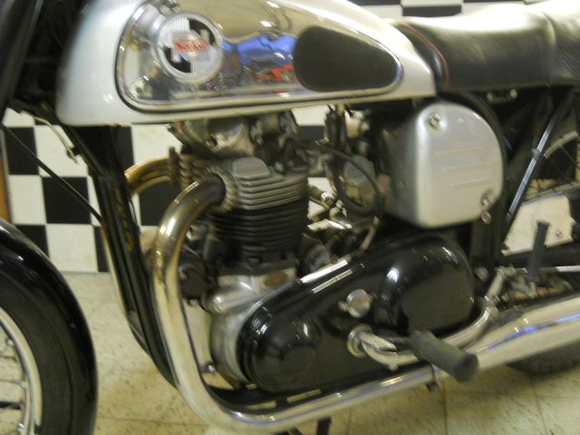 norton - dominator
