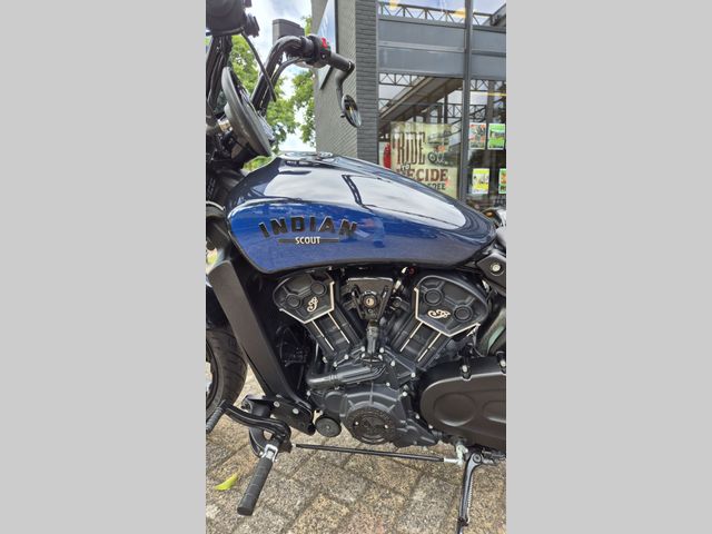 indian - scout-rogue
