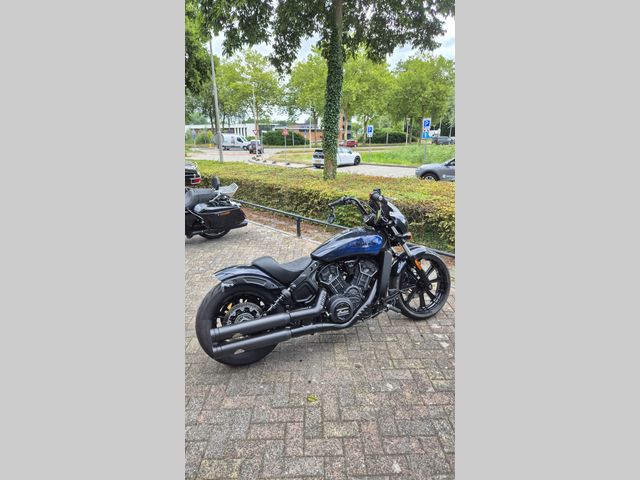 indian - scout-rogue