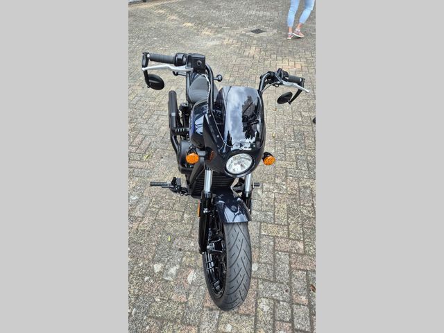indian - scout-rogue