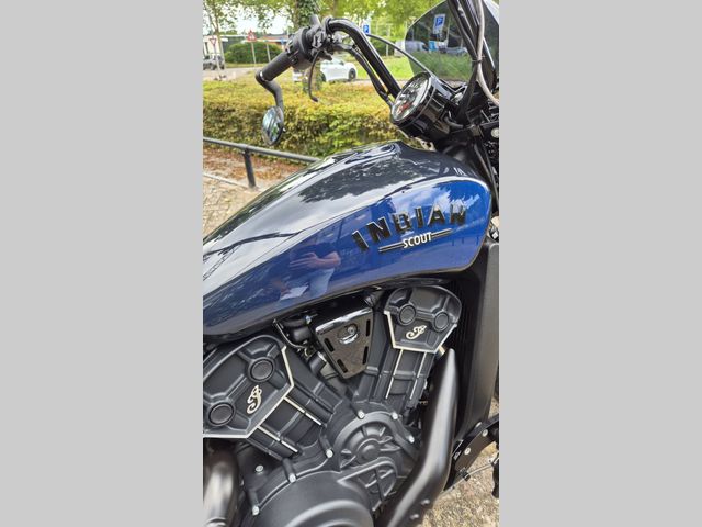 indian - scout-rogue