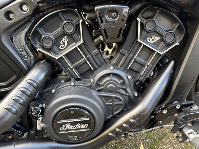 indian - scout-rogue