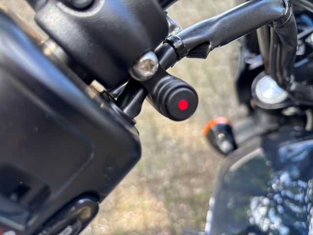 indian - scout-rogue