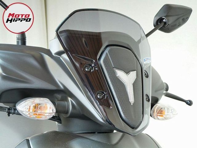 yamaha - rayzr