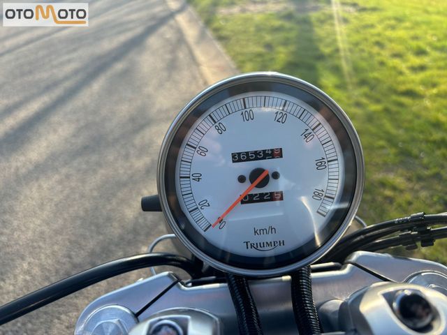 triumph - speedmaster