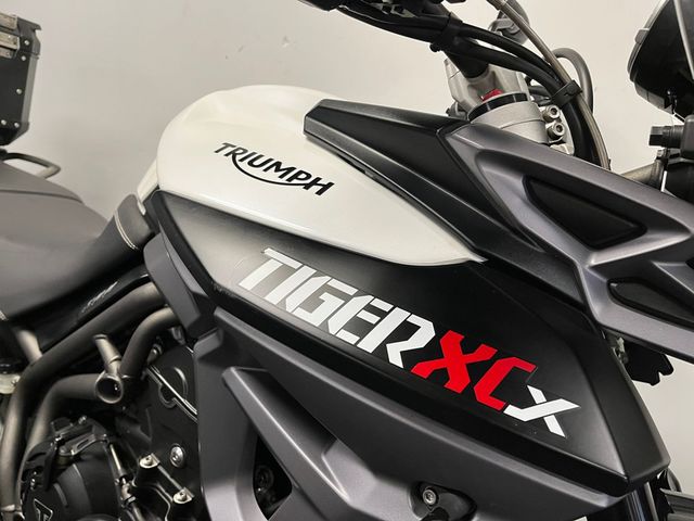 triumph - tiger-800-xcx