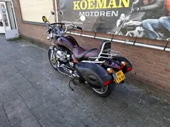 Moto Guzzi California EV 2003 occasion – foto 7 van 18