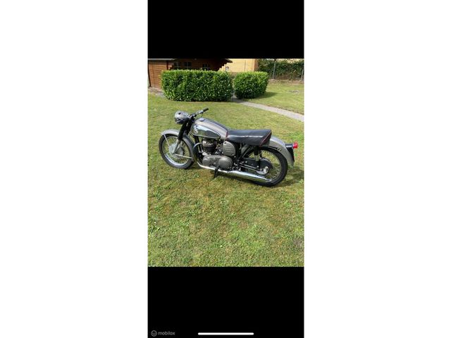 norton - dominator