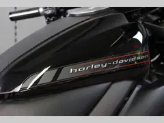 Harley-Davidson Livewire 2020 occasion – foto 8 van 22