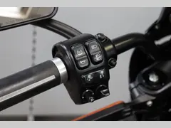 Harley-Davidson Livewire 2020 occasion – foto 20 van 22