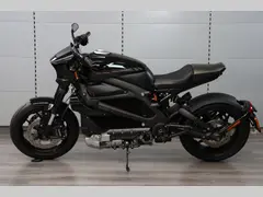 Harley-Davidson Livewire 2020 occasion – foto 4 van 22