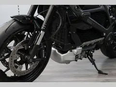 Harley-Davidson Livewire 2020 occasion – foto 16 van 22