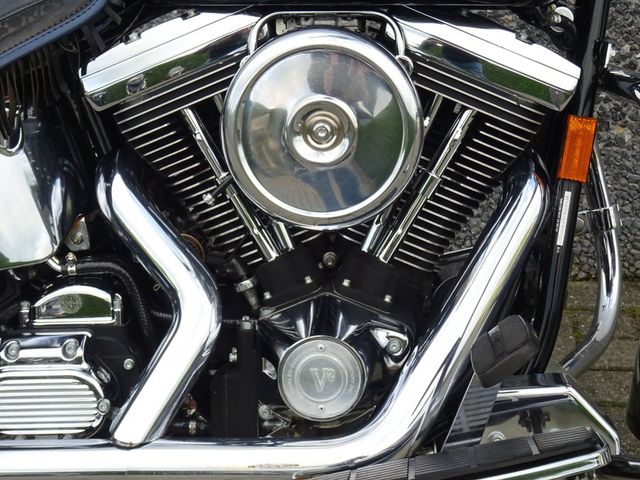 harley-davidson - springer-flsts-softail