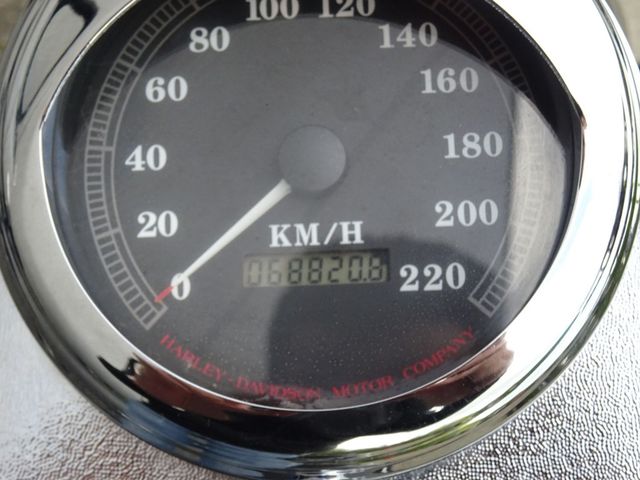 harley-davidson - springer-flsts-softail