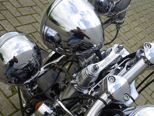 harley-davidson - springer-flsts-softail