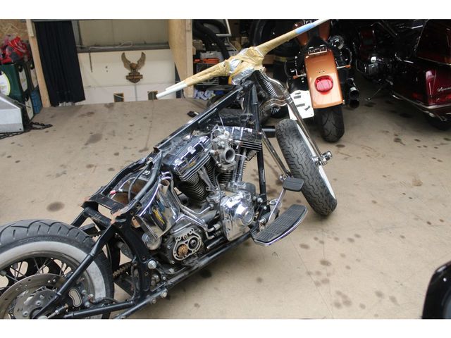 harley-davidson - springer-flsts-softail