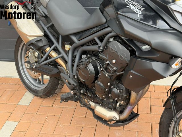 triumph - tiger-800-abs