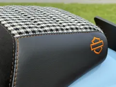 Harley-Davidson Fxlrs Softail Low Rider S 2025 occasion – foto 5 van 19