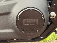 Harley-Davidson Fxlrs Softail Low Rider S 2025 occasion – foto 9 van 19