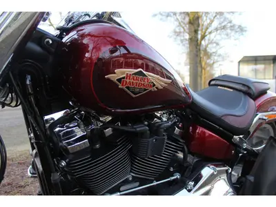 HARLEY-DAVIDSON FAT BOY 114 FLFBS SOFTAIL – foto 2