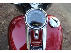 Harley-Davidson Fat Boy Flfbs 120 Anniversary Edition 2023 occasion – foto 14 van 16
