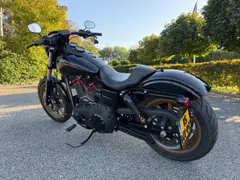 Harley-Davidson Low Rider Lowrider S 110 Dyna Fxdls 2016 occasion – foto 2 van 20